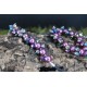 Schmuckset 0404